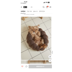 아젤리아 쿠션 sm