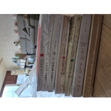 모래안개 숲의 신부