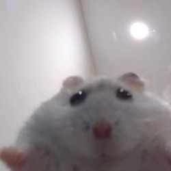 눕시